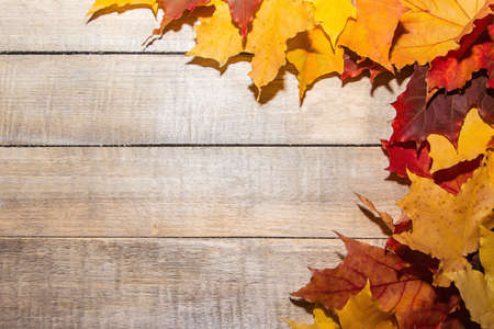 Colorful autumn leaves on a light wooden background.