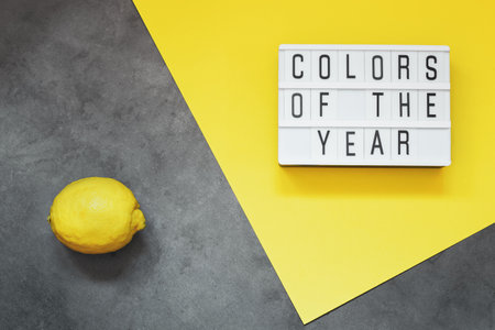 Lemon on yellow-gray background. Minimalistic geometric concept for design. Trend color of 2021 is illuminating and ultimate gray.の写真素材