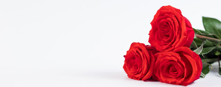 Bouquet of red roses and hearts on white background. Valentines day February 14. Place for your text. Banner formatの写真素材
