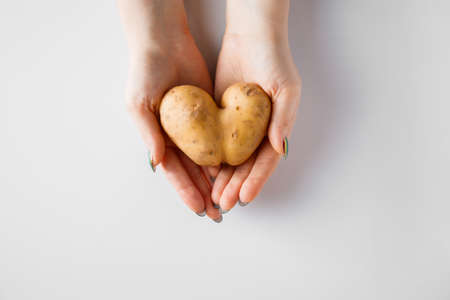 Heart shaped potatoes in hands on white background. Valentine's day concept.の写真素材