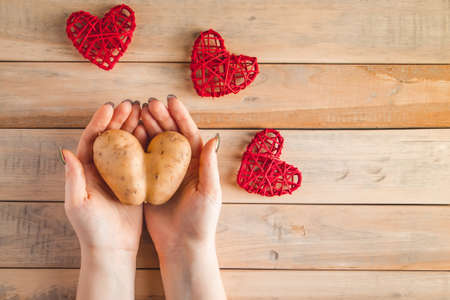 Heart shaped potatoes in hands on wooden background. Valentine's day concept. Ugly vegetables.の写真素材
