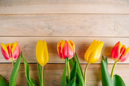 Yellow tulips on light wooden background. Spring and holiday concept. Place for text.の写真素材