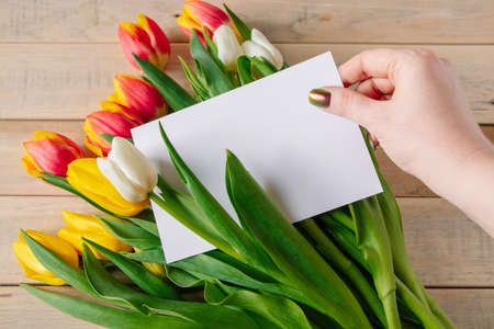 Woman takes greeting card from bouquet of tulips. Holiday gift. Spring symbol.の写真素材