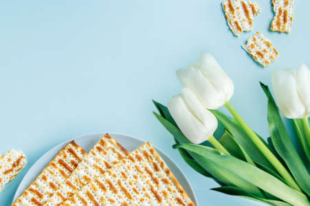 Happy Passover concept. Matzo and white tulips on blue background. Religious Jewish holiday Pesach.の写真素材