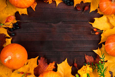 Autumn background. Frame from ripe pumpkins and fallen leaves on wooden boards. Harvest and...