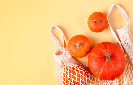 Ripe pumpkins in mesh bag on a yellow background. Autumn harvest and Thanksgiving concept. Eco-friendly farm products. Copy space. Banner formatの写真素材