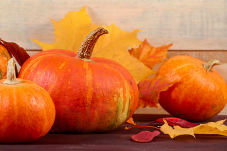 Autumn background. Ripe pumpkins and yellow fallen leaves. Harvest and Thanksgiving concept....