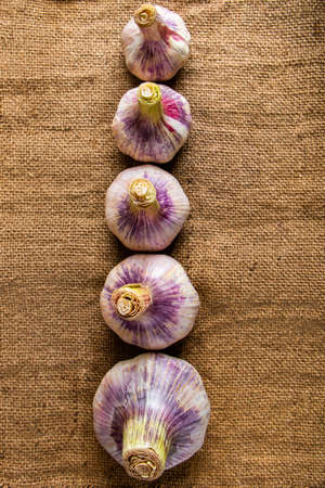 Fresh purple aromatic garlic on a rustic wooden background. Ingredient for cooking.