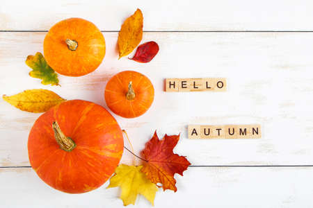 Hello autumn. Ripe pumpkins and fallen yellow leaves on a white background. Halloween and Thanksgiving symbol. Inscription in wooden letters.の写真素材