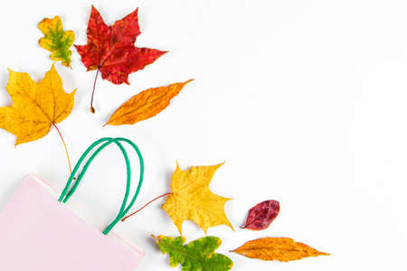Autumn sale concept. Discount banner. Paper shopping bag and colorful fallen leaves on a white...