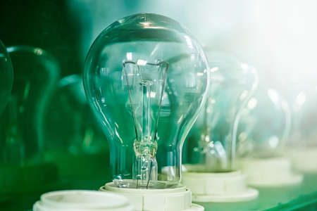 Old incandescent light bulb on green background. Samples of lamps in electronics store. Outdated...