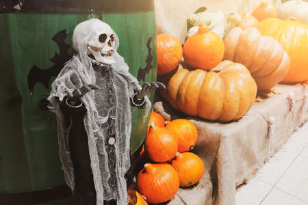 Halloween decorations. Skeleton and fresh pumpkins. Farmers market. Ripe vegetables on shelves for sale in countryside. Scary decor for celebration. Thanksgiving and harvestの写真素材