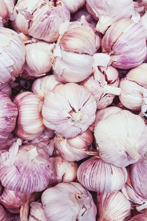 Fresh garlic. Organic antioxidant. Selling vegetables at the farmers market.