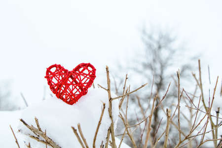 Wooden red heart on background of snow-covered tree branches. Eco-friendly valentines day. Handmade gift. Symbol of caring for nature.の写真素材
