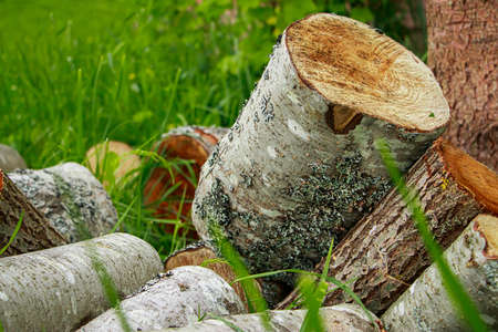 Stack of chopped firewood. Eco-friendly bio fuel. Woodpile near village house. Rural life.