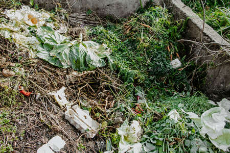 Compost pit for food waste. Eco-friendly consumption, recycling. Concept of organic fertilizers for...
