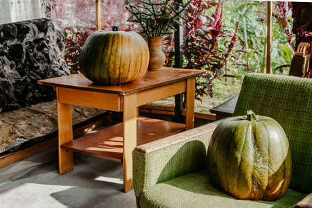 Autumn harvest of pumpkins. Large pumpkin on terrace of summer country house. Preparing for Halloween and Thanksgiving. Outdoor decoration season in the USA.の写真素材