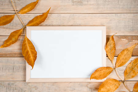 Hello autumn concept. Empty frame mock up on wooden background and yellow fallen leaves. Copy space.