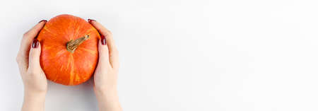 Hands hold ripe pumpkin on a white background. Woman collects autumn harvest. Halloween and Thanksgiving symbol. banner formatの写真素材