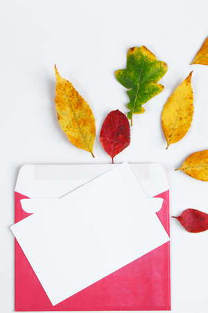 Autumn flat lay. Envelope with a blank greeting card and fallen yellow leaves on white background. copyspace.の写真素材