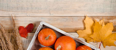 Autumn flat la. Ripe pumpkins, ears of wheat and fallen leaves on a wooden background. Harvest and...