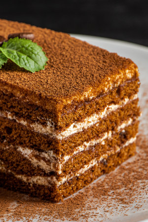 Close-up of tiramisu dessert on dark background. Slice of coffee cake decorated with mint leaves. Vertical photo.の写真素材