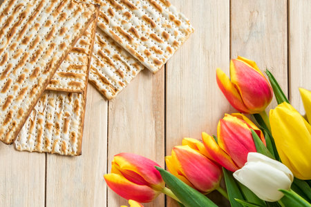 Happy Passover concept. Jewish Regilious holiday Pesach. Tulips and matzo on light wooden background.の写真素材