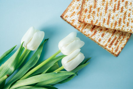 Matzo and white tulips on blue background. Religious Jewish holiday Pesach. Happy Passover concept.の写真素材