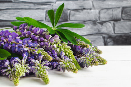 Purple lupins on gray background. Summer flowers. Bouquet for wedding or holiday. Copy space.の写真素材