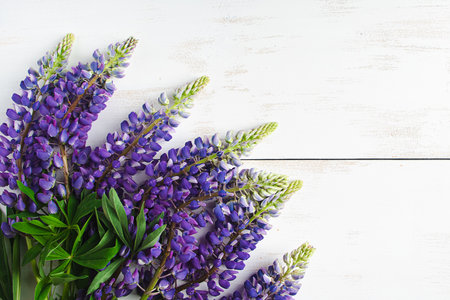 Bouquet of purple lupins on white wooden background. Summer flowers. Backdrop for product advertising. Copy space.の写真素材
