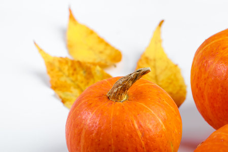 Ripe pumpkins and fallen yellow leaves on a white background. Hello autumn. Halloween and Thanksgiving symbol.の写真素材