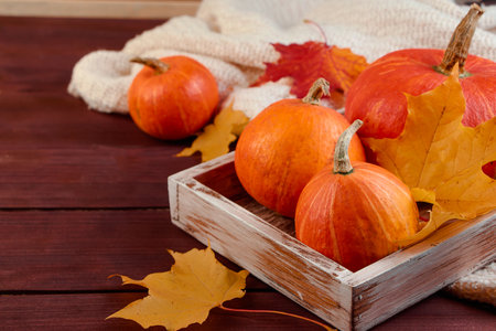 Hello autumn. Pumpkins and yellow leaves in a wooden box. Eco-friendly farm products. Harvest and Thanksgiving concept. Halloween celebrations.の写真素材