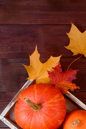 Autumn flat lay. Ripe pumpkins and yellow leaves in a wooden box. Harvest and Thanksgiving concept. Halloween celebrations. Copy space.の写真素材