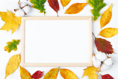 Empty frame mock up on white background and yellow fallen leaves. Hello autumn concept. Copy space.の写真素材