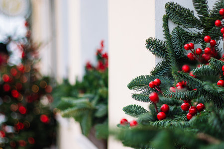 Christmas decorations on window. Fir branches with red berries. Street holiday decor.の写真素材