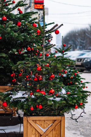 Christmas street decor. Festive trees with Christmas red balls. City decorations for New Year.の写真素材