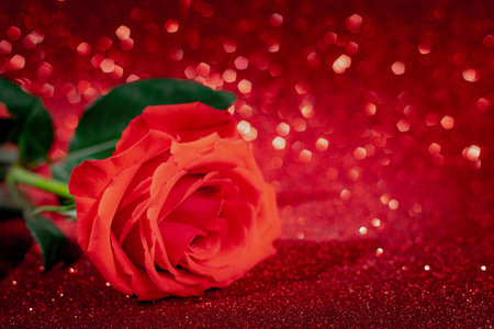 Red rose on shining background. Valentine's day concept, place for text.の写真素材