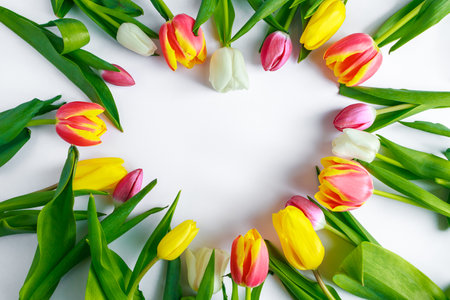 Heart from tulips on white background. Valentine's day, place for text.の写真素材
