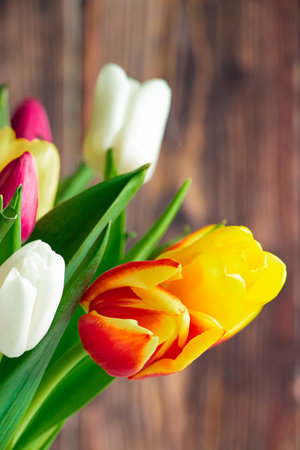 Yellow tulips on light wooden background. Spring and holiday concept. Place for text.の写真素材