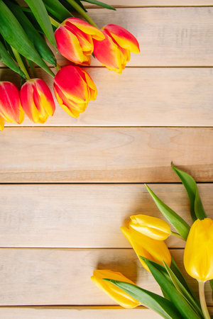 Yellow tulips on light wooden background. Spring and holiday concept. Place for text.の写真素材