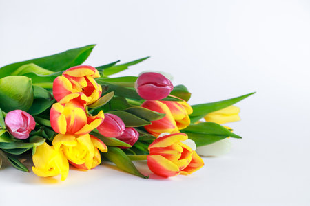 Bouquet of colorful multicolored tulips on white background. Happy easter. Spring symbol, place for text.の写真素材