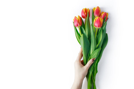 Female hands holding bouquet of fresh colorful tulips. Spring flowers on white background. Holiday gift.の写真素材