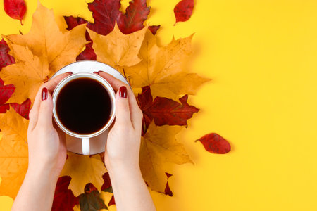 Hand holding cup of strong coffee. Hot autumn drink and yellow fallen leaves on a bright background.の写真素材