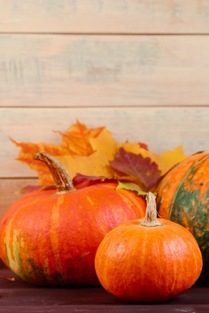 Autumn background. Ripe pumpkins and yellow fallen leaves. Harvest and Thanksgiving concept. Halloween celebrations. Copy space.の写真素材