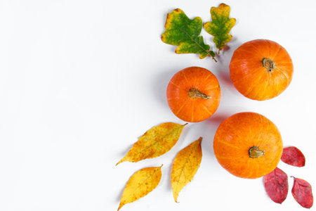 Ripe pumpkins and fallen yellow leaves on a white background. Hello autumn. Halloween and Thanksgiving symbol.の写真素材