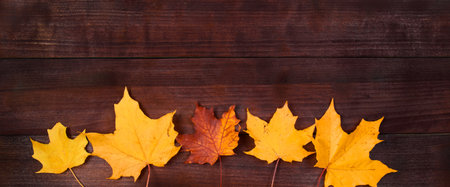 Frame from yellow autumn leaves on a brown wooden background. Fallen foliage. Backdrop for design. Copy space. Banner formatの写真素材