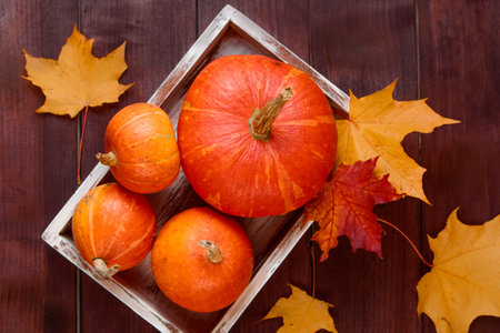 Autumn flat lay. Ripe pumpkins and yellow leaves in a wooden box. Harvest and Thanksgiving concept. Halloween celebrations.の写真素材