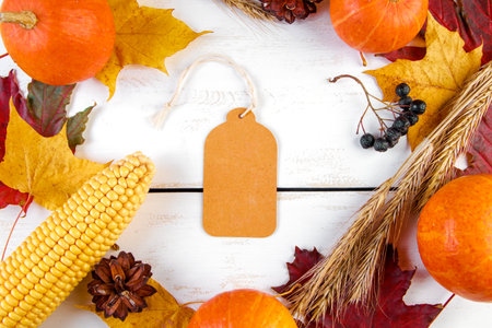 Autumn sale concept. Blank label on wooden background. Ripe pumpkins, colored leaves and berries....