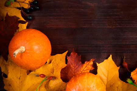 Autumn background. Frame from ripe pumpkins and fallen leaves on wooden boards. Harvest and Thanksgiving concept. Copy space.の写真素材
