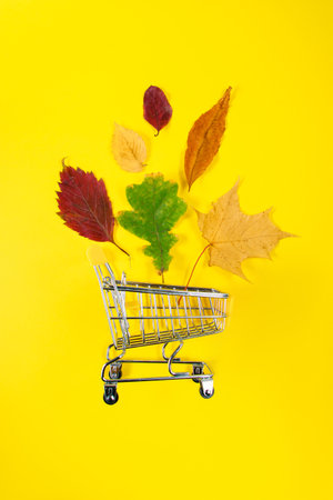 Autumn sale concept. Shopping cart and fallen colored leaves on a yellow background. Creative composition for advertising. Copy space.の写真素材